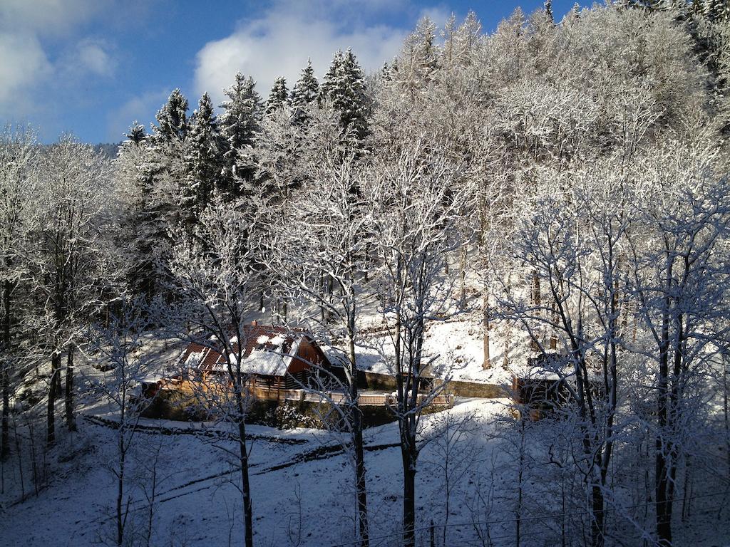 Chata Hokejka โรกีนีซ นัด ยีเซอโร ภายนอก รูปภาพ